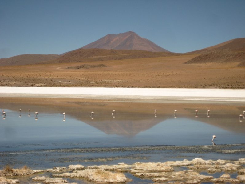 Natur pur - Bolivien